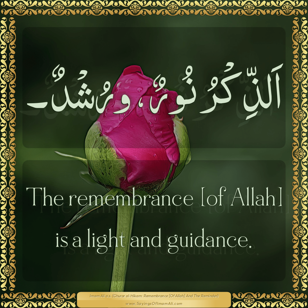 The remembrance [of Allah] is a light and guidance.